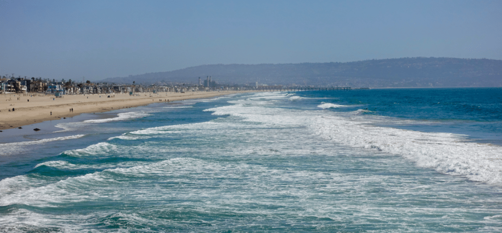 photo of living the blue life showing the best beaches in san diego