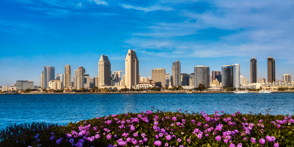 photo of downtown san diego with flowers from across the bay showing the cost of living in san diego