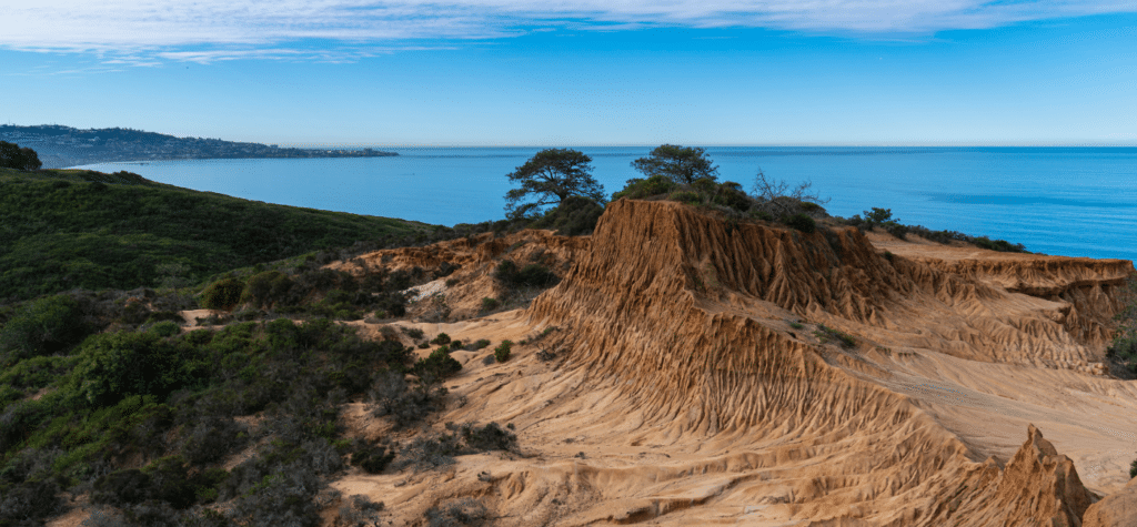 photo of torrey pines national reserve showing one of the best san diego hikes and trails
