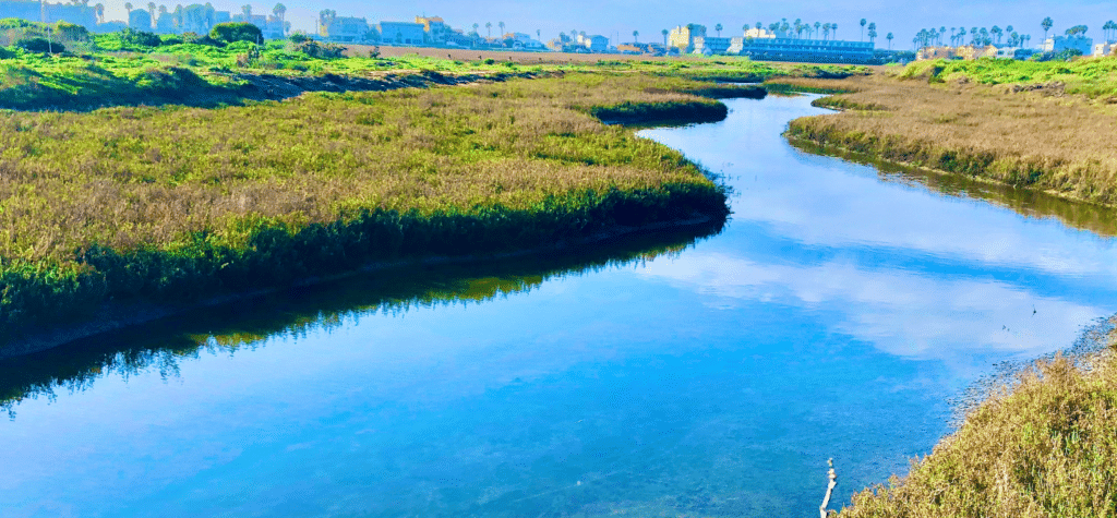 photo of the tijuana estuary showing one of the best san diego hikes and trails